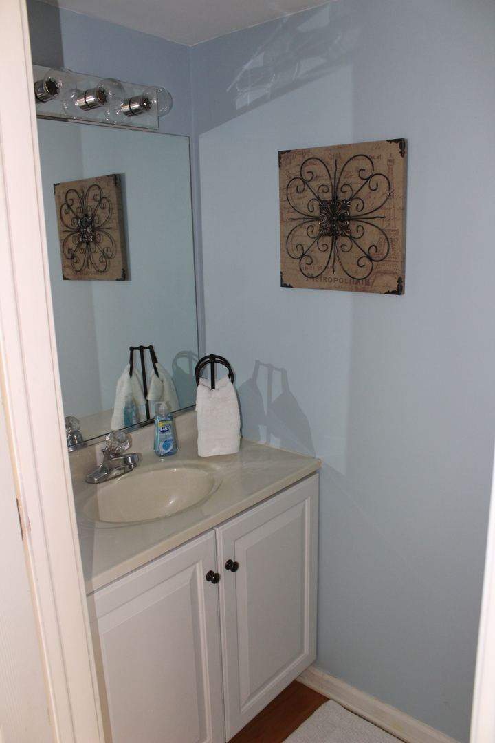 481 River Bend Road, Unit 107 Naperville, IL 60540 - Photo 9 of 17 a view of a sink
