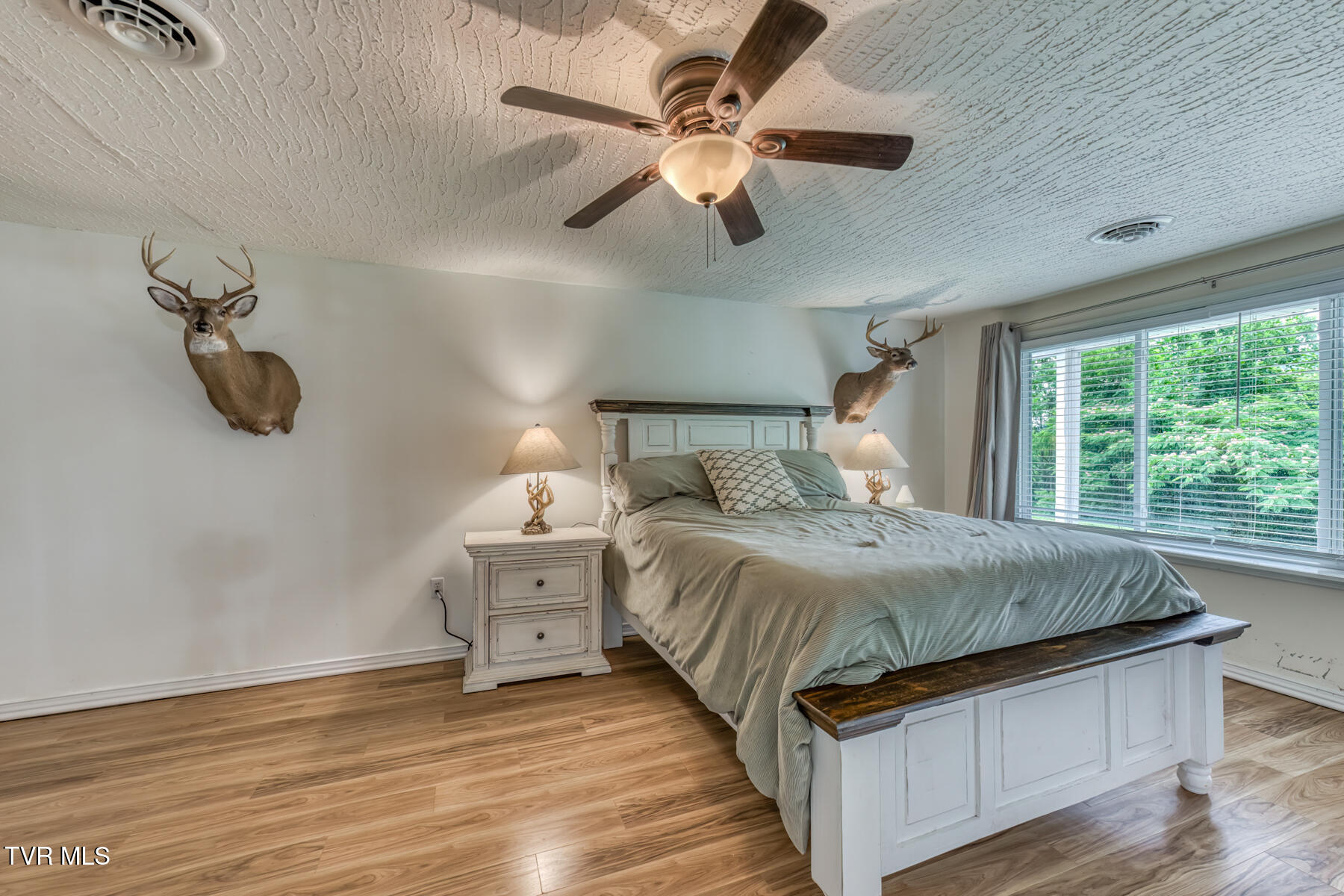 124 Tolley Lane Erwin, TN 37650 - Photo 12 of 31 124 Tolley Ln-14