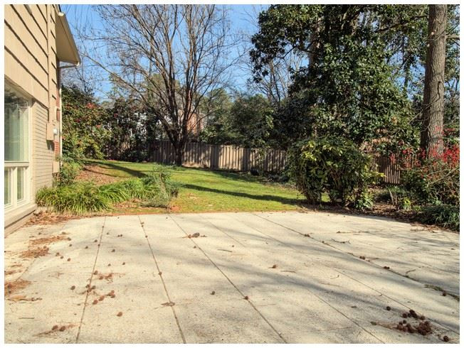 3309 Leonard Street Raleigh, NC 27607 - Photo 16 of 21 Patio