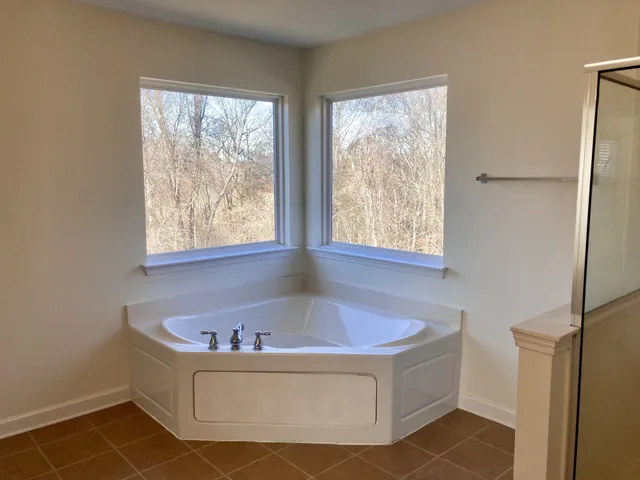 a view of a yard with large trees