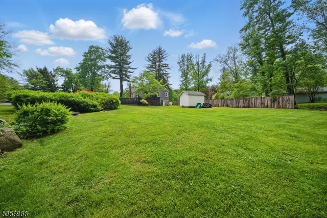 a view of a big yard with plants and large trees