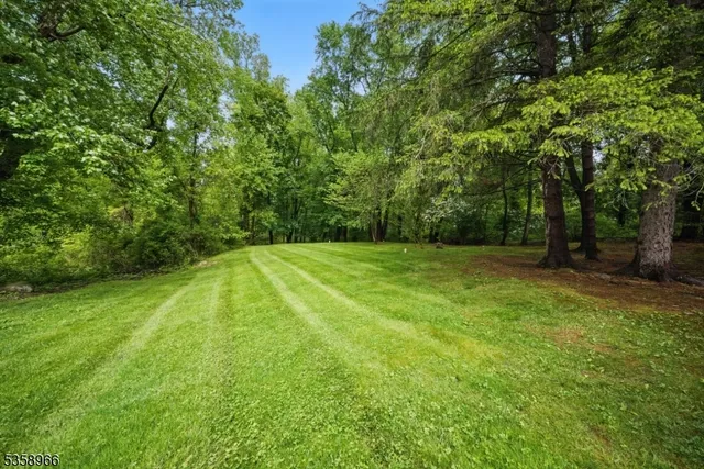 a view of a back yard