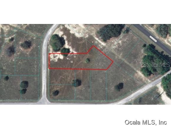 0 Locust Rdl Loop Ocala, FL 34472 - Photo 1 of 1 Primary Photo