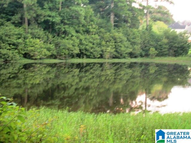95 Blackjack Road Trussville, AL 35173 - Photo 18 of 21