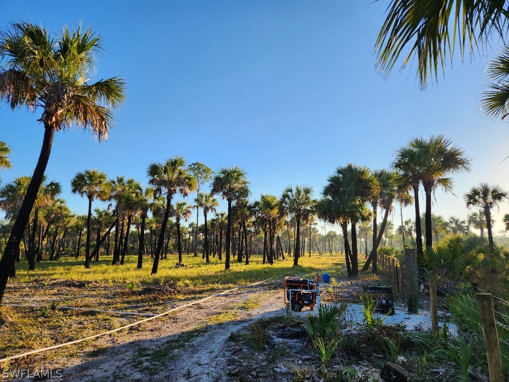 Ivy Way Naples, FL 34117 - Photo 3 of 4 a view of a backyard with palm trees