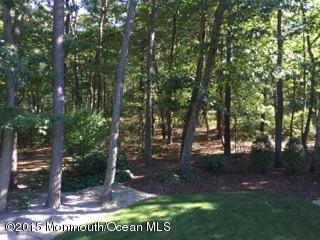 187 Nomoco Road Freehold, NJ 07728 - Photo 20 of 21 Nomoco Yard