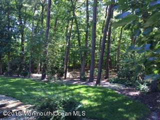 187 Nomoco Road Freehold, NJ 07728 - Photo 3 of 21 187 Nomoco Rd Yard