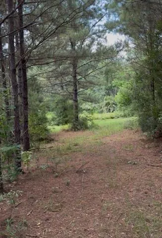 $150,000 | 0 Dillon Road, Kentwood, LA 70444