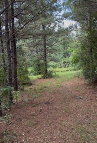 0 Dillon Road Kentwood, LA 70444 - Photo 2 of 5