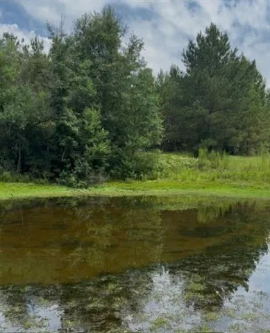 $150,000 | 0 Dillon Road, Kentwood, LA 70444