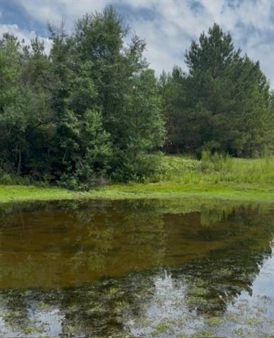 0 Dillon Road Kentwood, LA 70444 - Photo 3 of 5