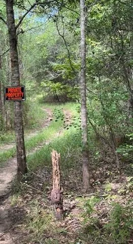 $150,000 | 0 Dillon Road, Kentwood, LA 70444