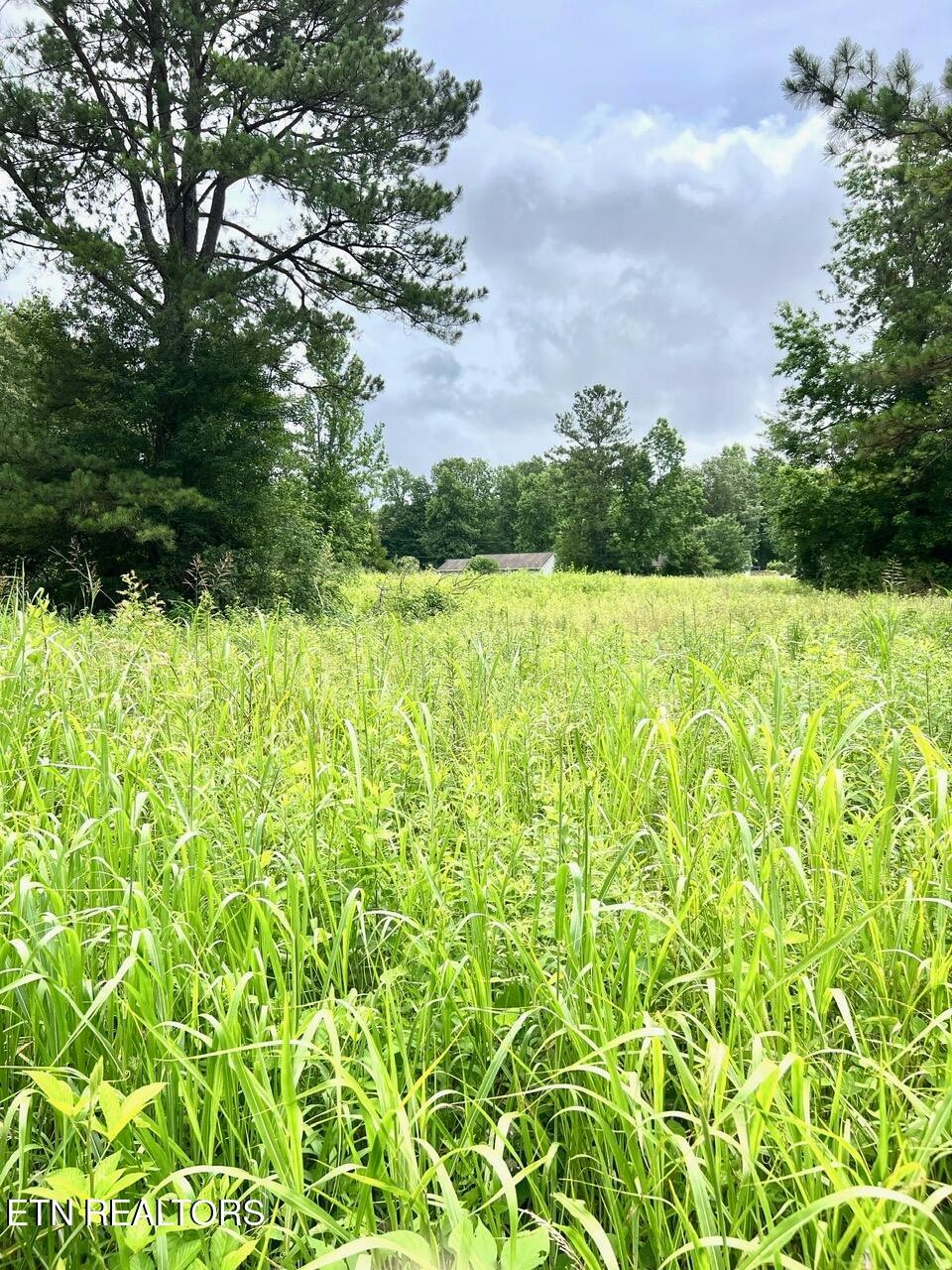 0 Fairview Road Athens, TN 37303 - Photo 7 of 18