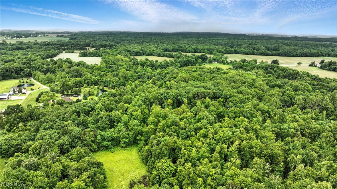 21251 Pitts Road Wellington, OH 44090 - Photo 9 of 14 Bird's eye view of a forest