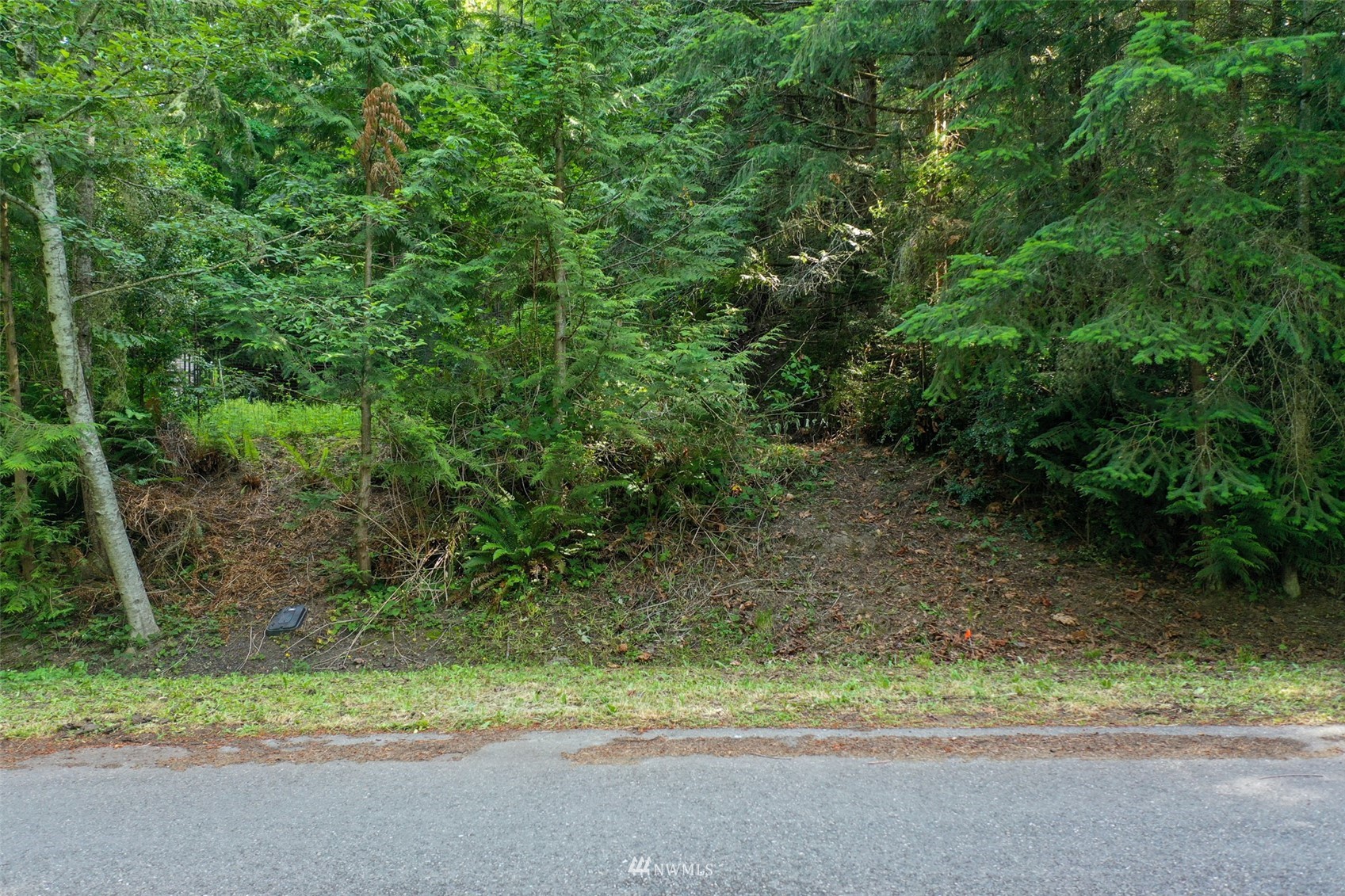 16820 Seminole Road Northeast Poulsbo, WA 98370 - Photo 3 of 14 Gallery Image 3
