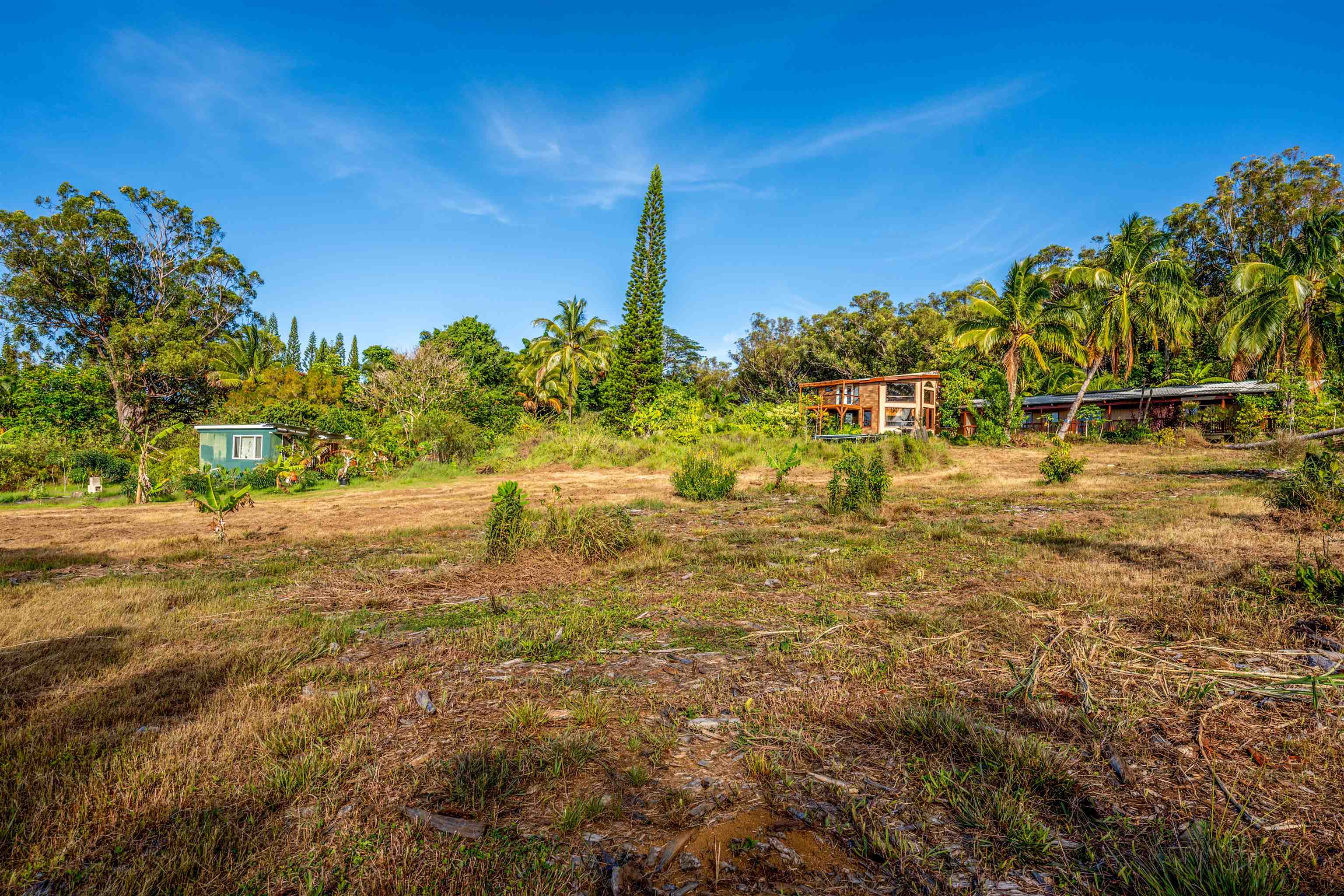 810 Upper Ulumalu Road Haiku, HI 96708 - Photo 43 of 46 a view of a yard with an trees