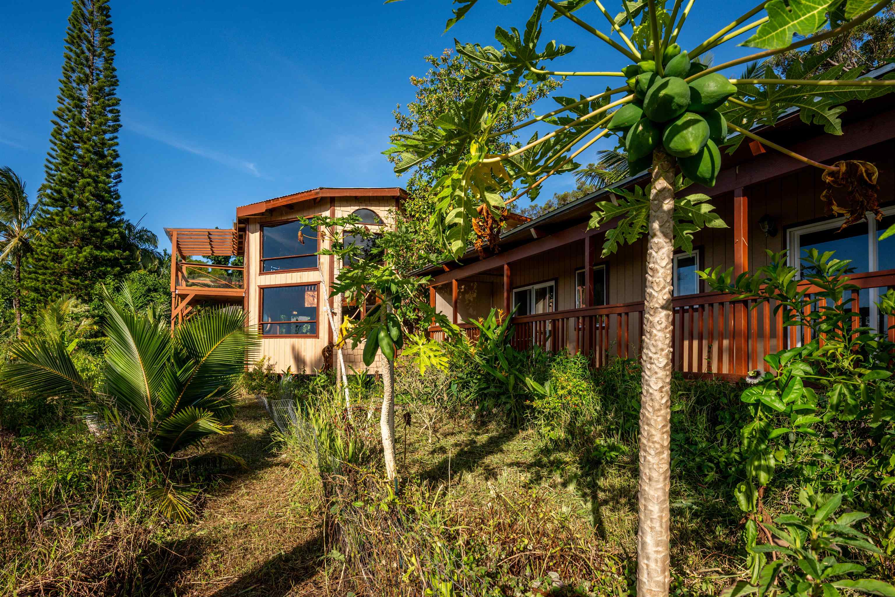 810 Upper Ulumalu Road Haiku, HI 96708 - Photo 9 of 46 a backyard of a house with lots of green space