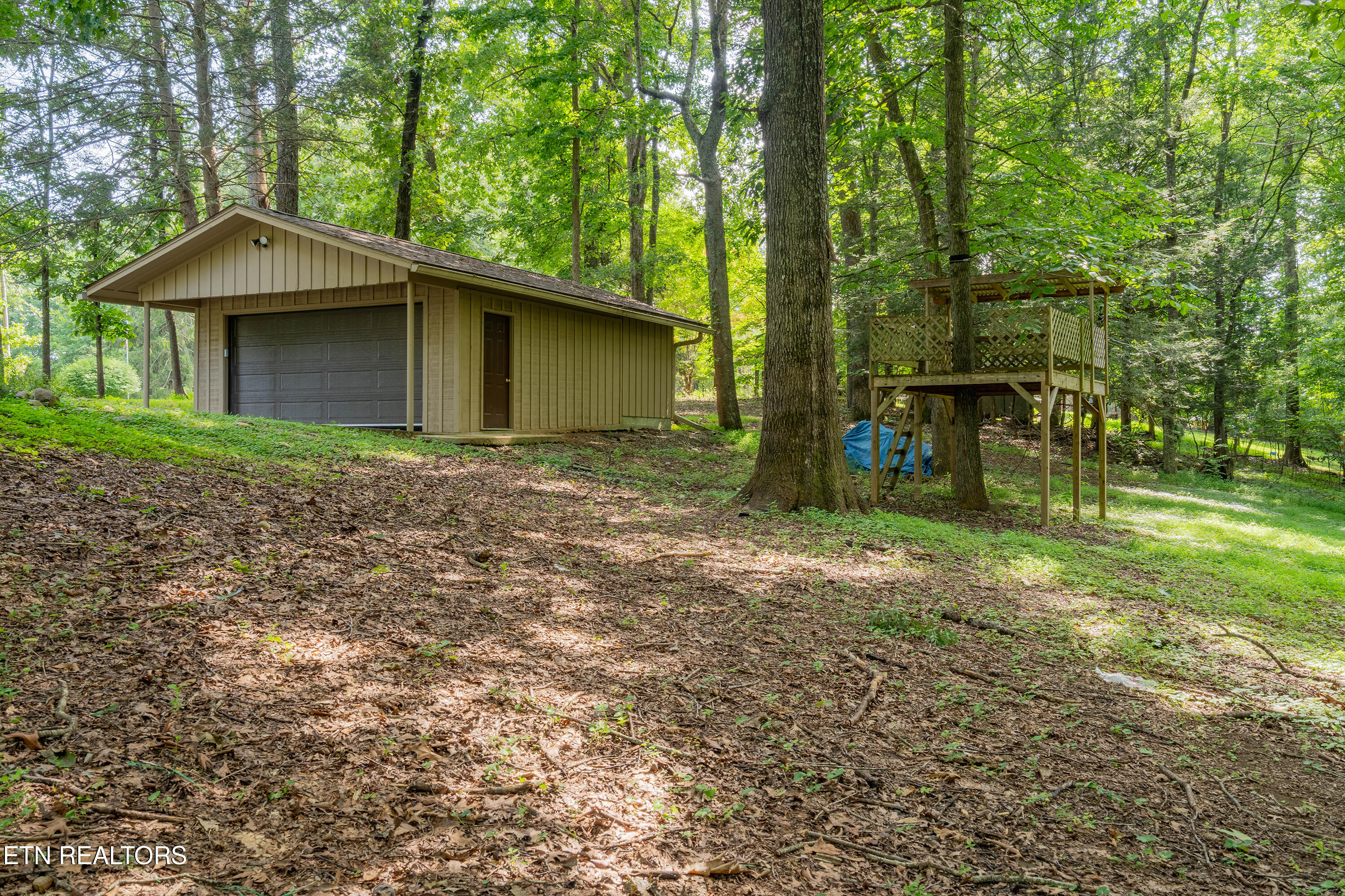 167 Rendezvous Road Rockwood, TN 37854 - Photo 39 of 55 A7301954-HDR