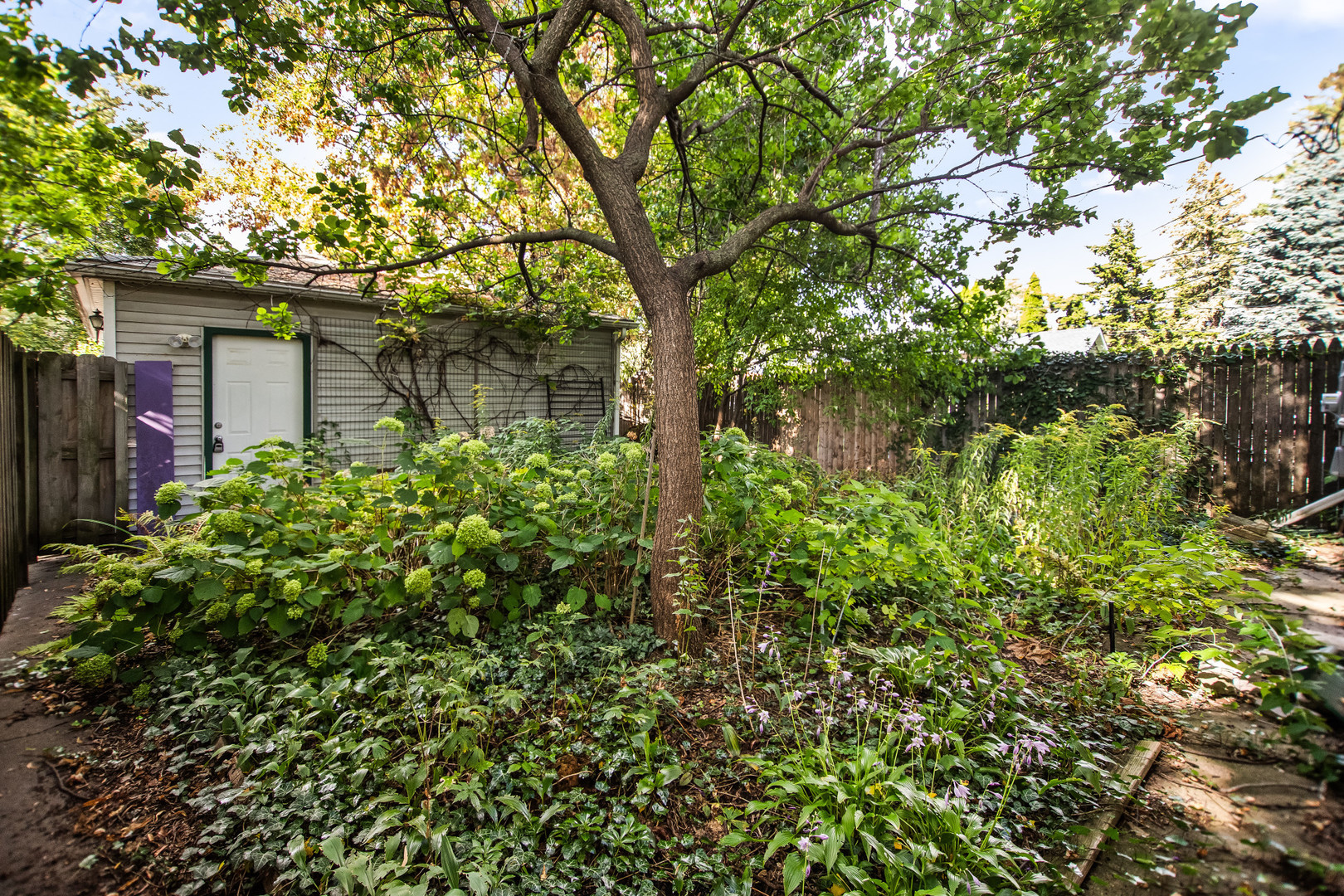 4634 North Kennicott Avenue, Unit 1 Chicago, IL 60630 - Photo 2 of 11