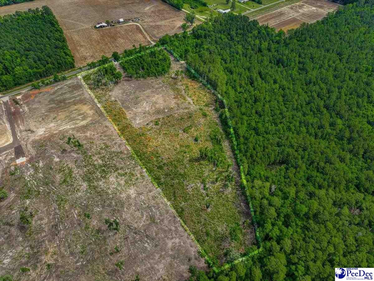 Tbd Tbd Willard Henry Road Florence, SC 29505 - Photo 1 of 1 Gallery Image 1