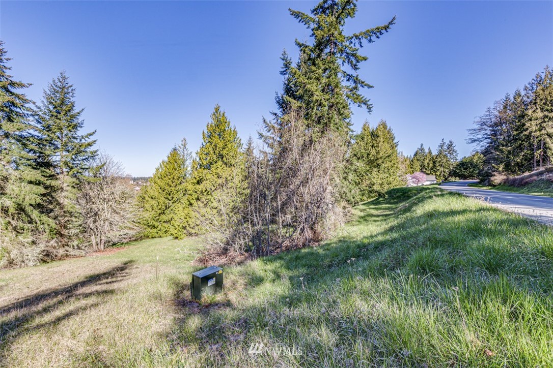 2 Fox Hollow Road Sequim, WA 98382 - Photo 3 of 22 a backyard of a house with lots of green space