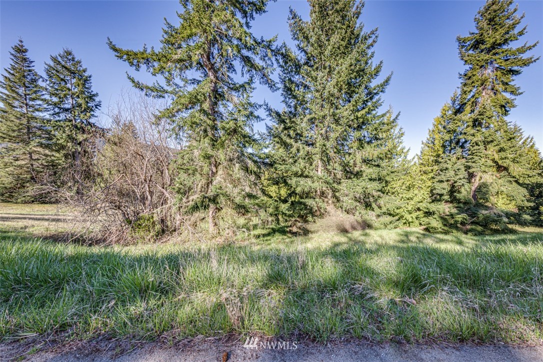 2 Fox Hollow Road Sequim, WA 98382 - Photo 8 of 22 a view of a lush green forest