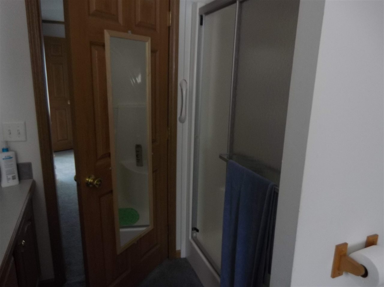 4167 Estey Road Rhodes, MI 48652 - Photo 8 of 13