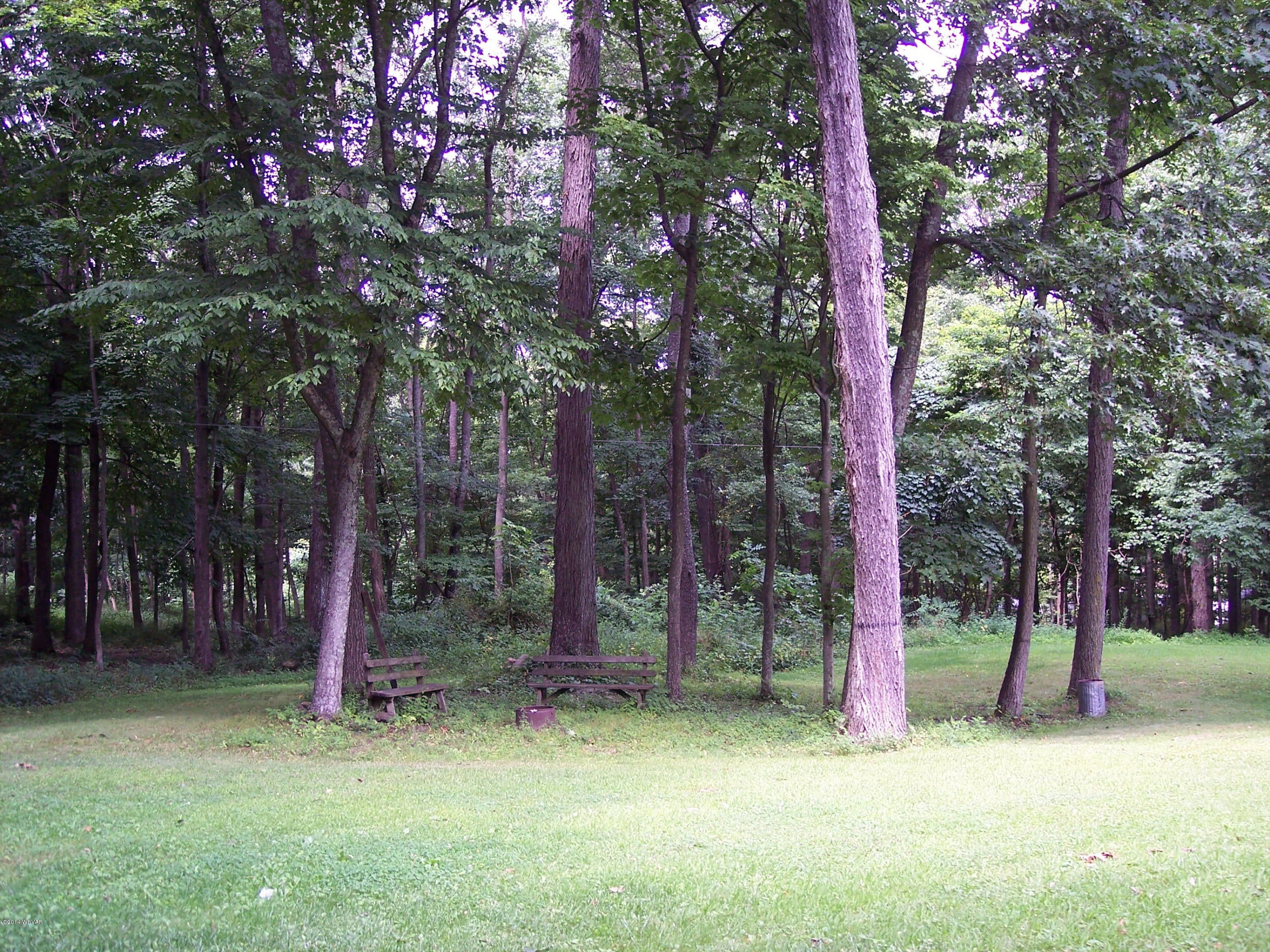 735 Shadle Road Jersey Shore, PA 17740 - Photo 8 of 51 'Park like' setting