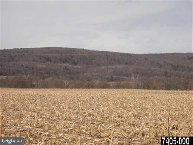 0 Hilltown Road Gettysburg, PA 17325 - Photo 4 of 5 Gallery Image 4