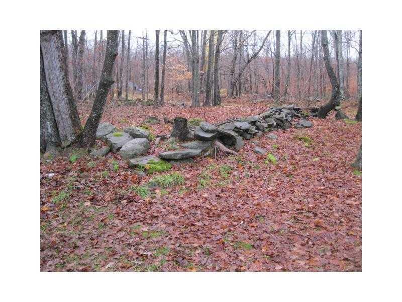 475 Upper Garland Road Dexter, ME 04930 - Photo 2 of 10 Yard/Garden.