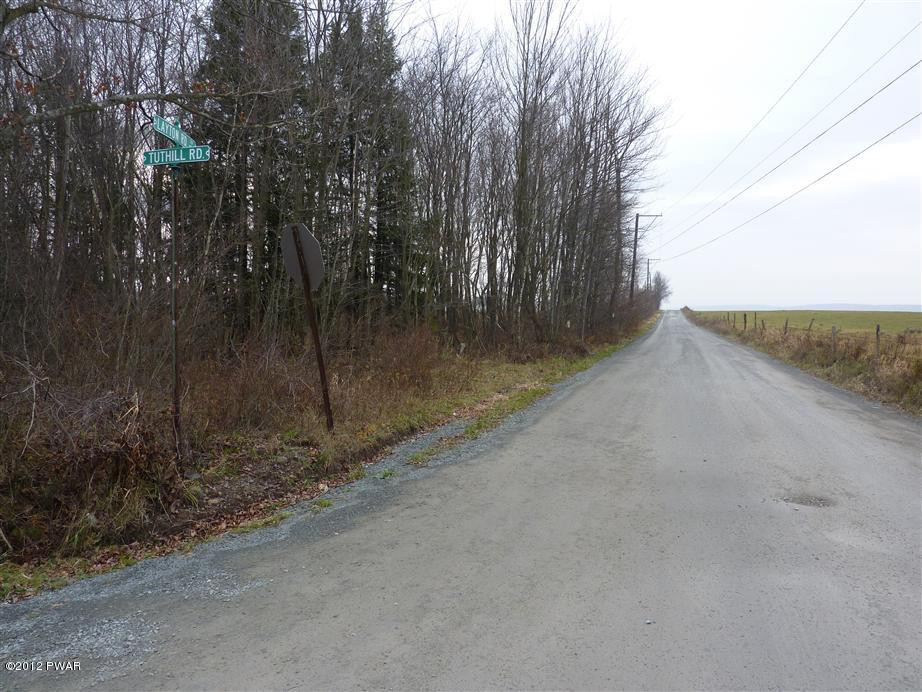 Layton Road Waymart, PA 18472 - Photo 4 of 10
