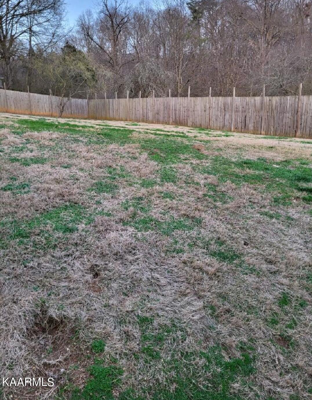 726 Sulphur Springs Road Clinton, TN 37716 - Photo 18 of 22 Backyard