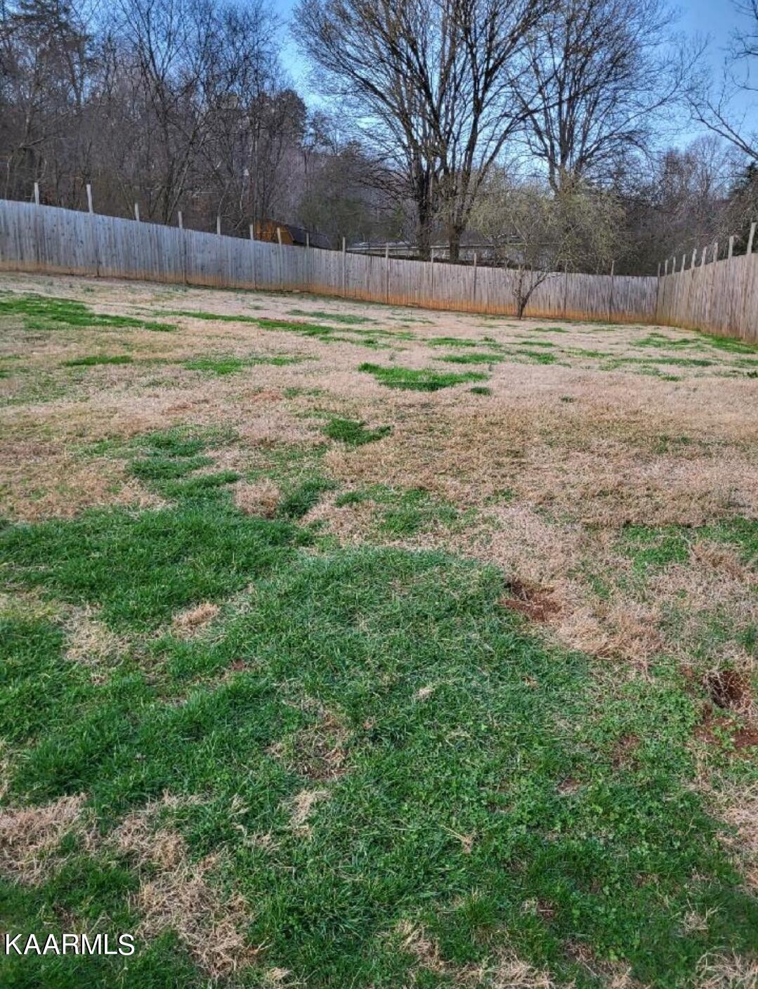 726 Sulphur Springs Road Clinton, TN 37716 - Photo 19 of 22 Backyard