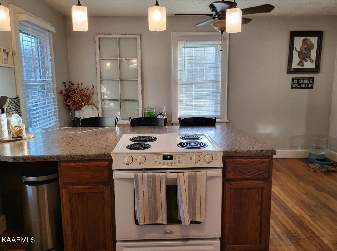 726 Sulphur Springs Road Clinton, TN 37716 - Photo 7 of 22 Kitchen