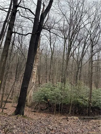 $535,500 | 0 Spruce Hollow Road, Connellsville, PA 15425