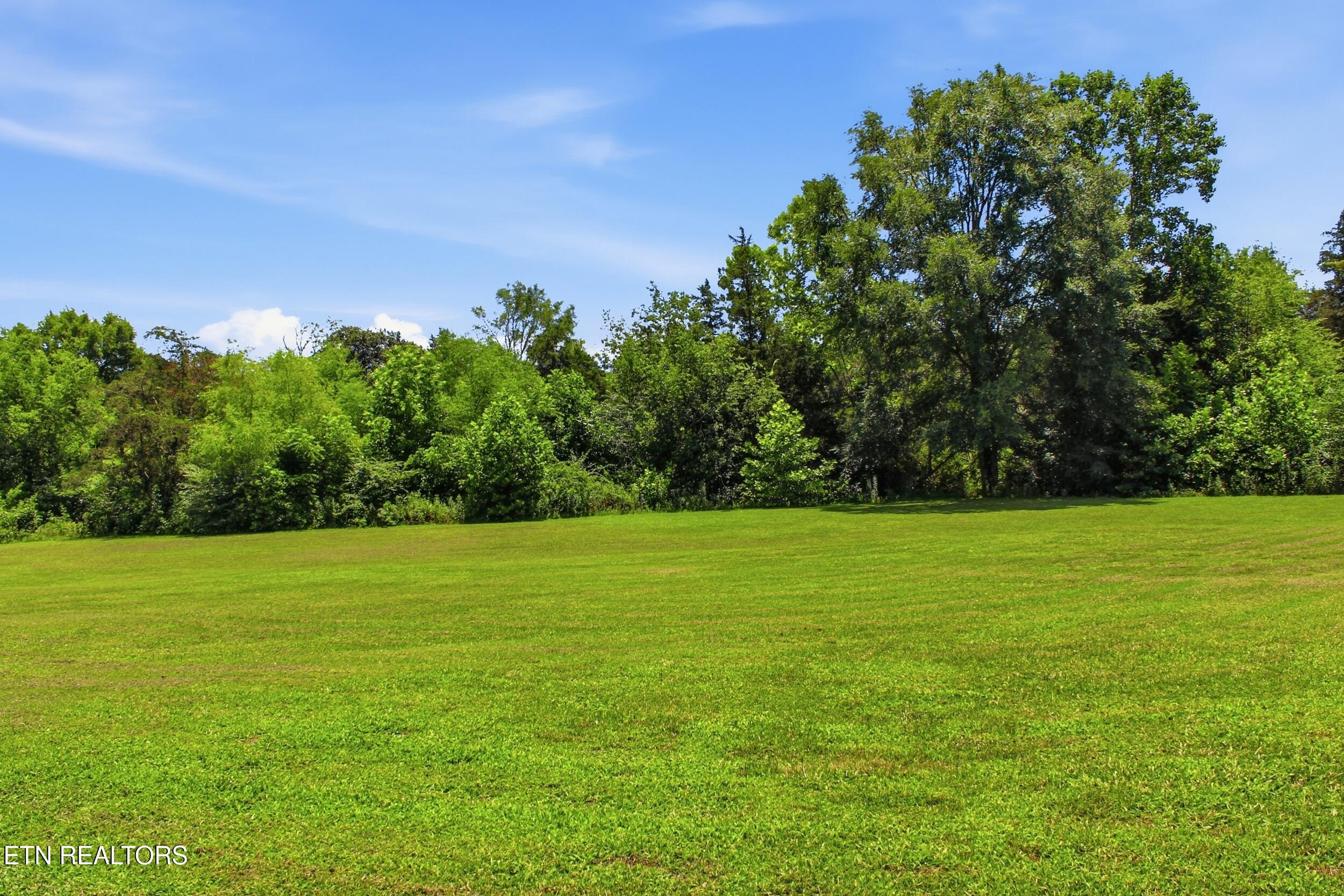3300 Doyle Frazier Road Morrison, TN 37357 - Photo 34 of 45 USABLE ACREAGE