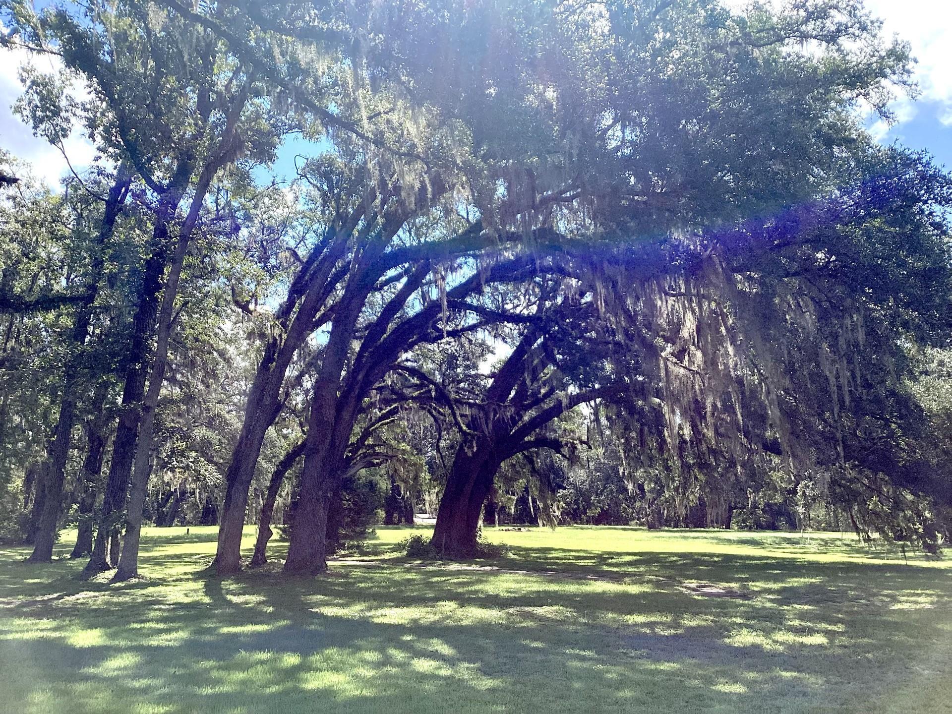 339 Silver Lake Road Monticello, FL 32344 - Photo 13 of 38