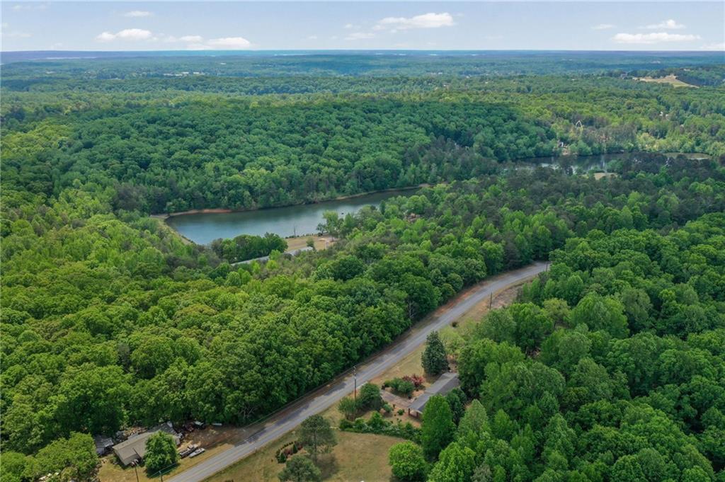 0 Anderson Lake Road Dawsonville, GA 30534 - Photo 4 of 24