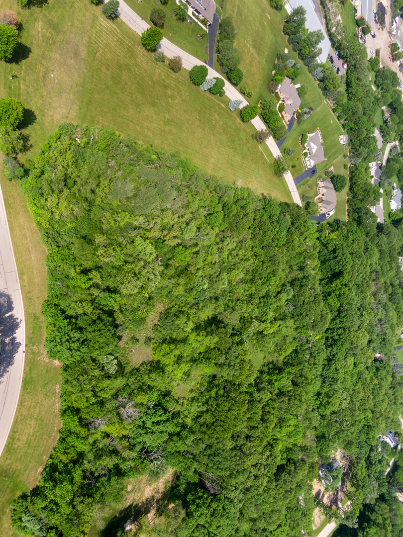 a view of a big yard with large trees
