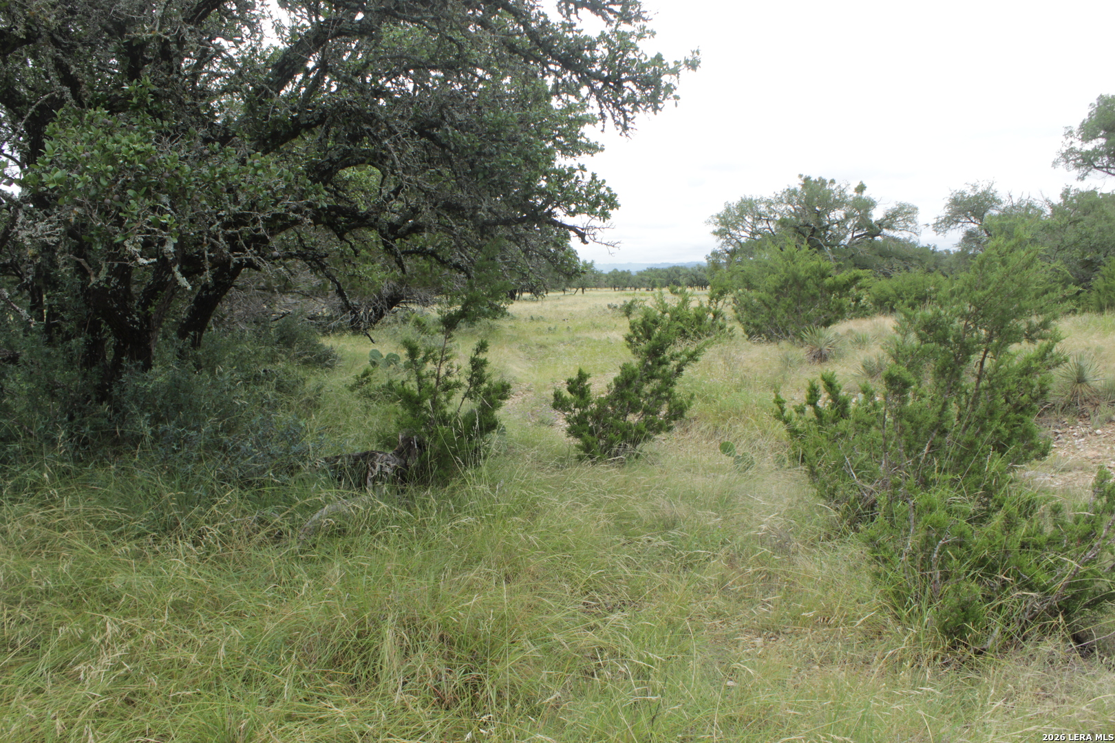 12700 Highway 83 Junction, TX 76849 - Photo 19 of 22