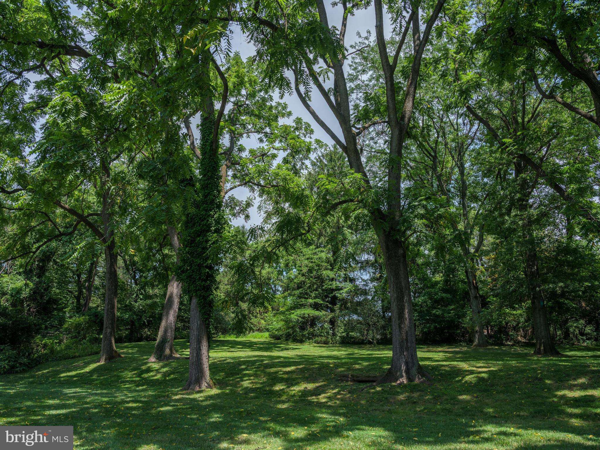 1335 Meadowbrook Road Jenkintown, PA 19046 - Photo 46 of 46 Gallery Image 46