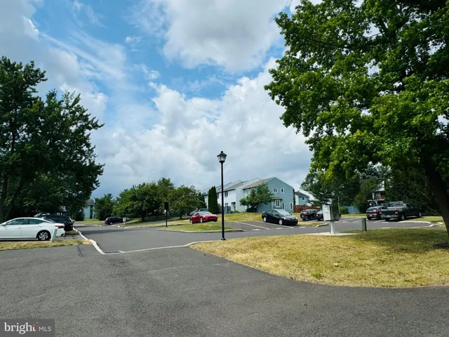 a view of a fountain with big tree