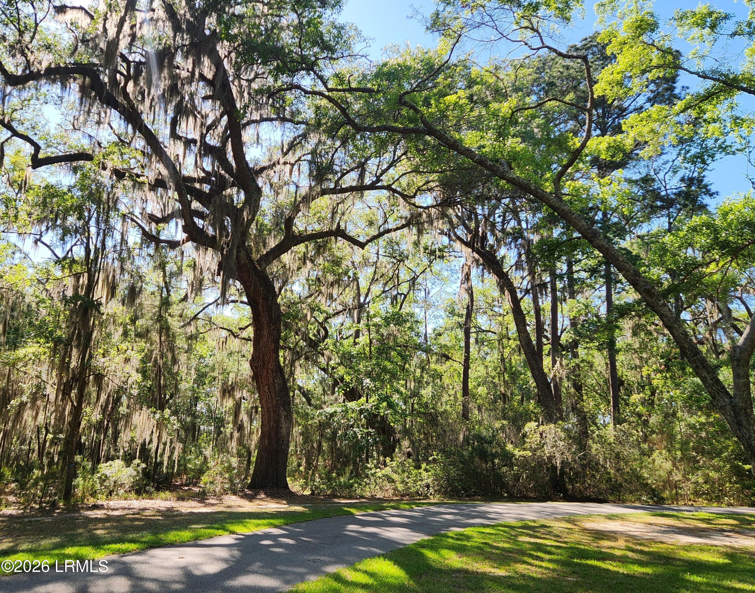 75 Island Way Seabrook, SC 29940 - Photo 15 of 98 9