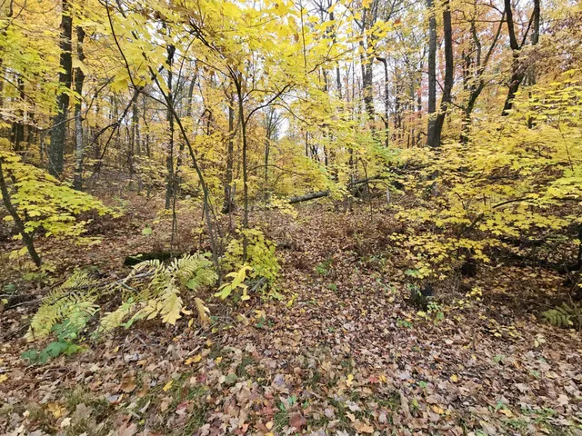 $11,000 | Lot 26 Block 1 Westward Ho, Garrison, MN 56450