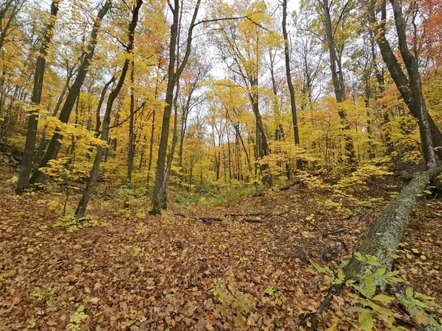 $11,000 | Lot 26 Block 1 Westward Ho, Garrison, MN 56450