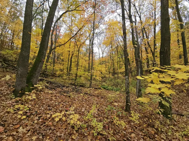 $11,000 | Lot 26 Block 1 Westward Ho, Garrison, MN 56450