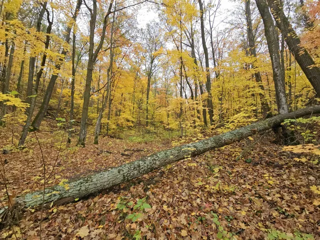 $11,000 | Lot 26 Block 1 Westward Ho, Garrison, MN 56450