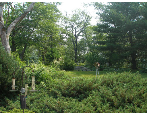 27 Ellen Road Stoneham, MA 02180 - Photo 15 of 15 Gallery Image 15