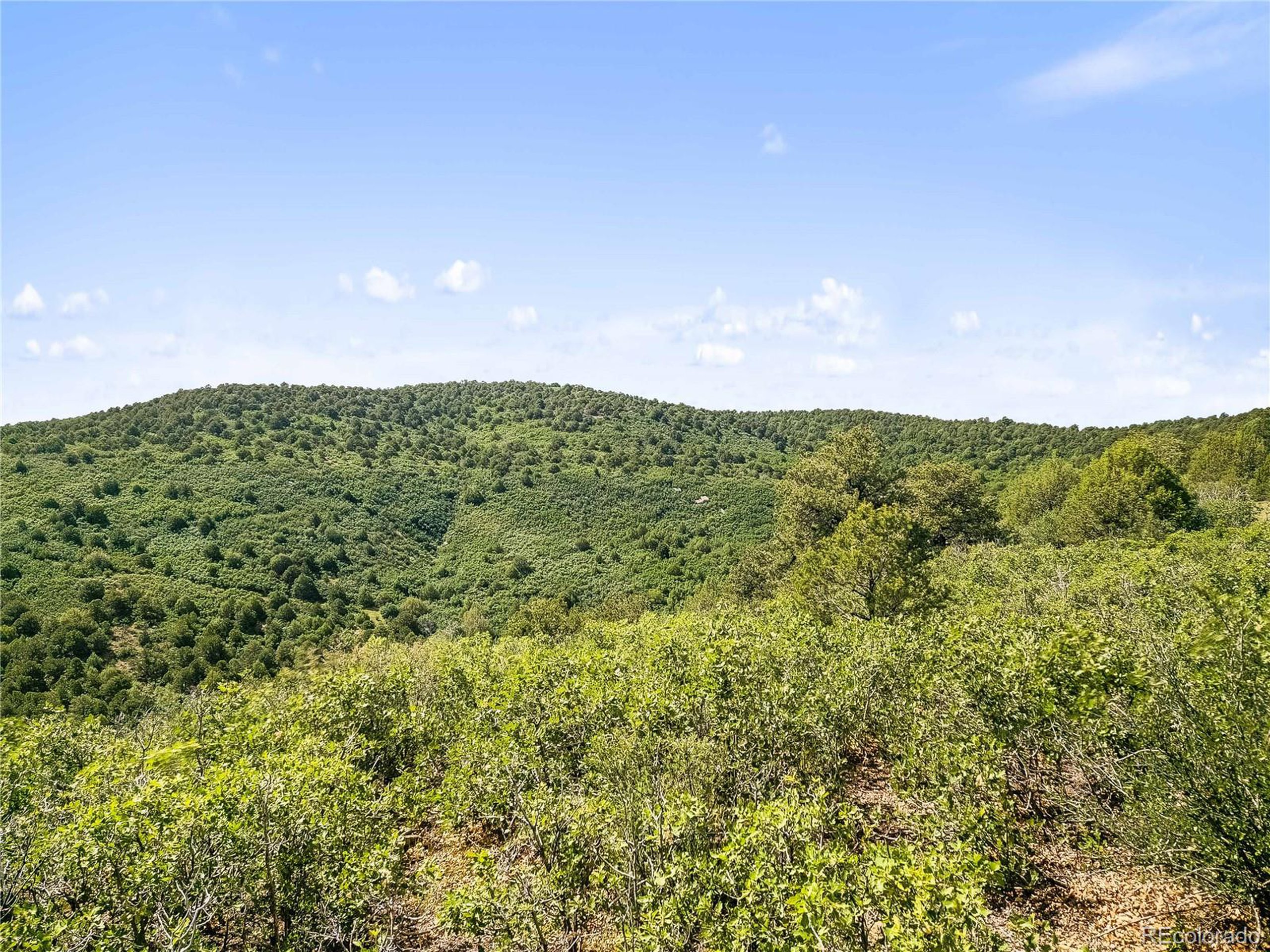 Tollerburg Road Trinidad, CO 81082 - Photo 13 of 22