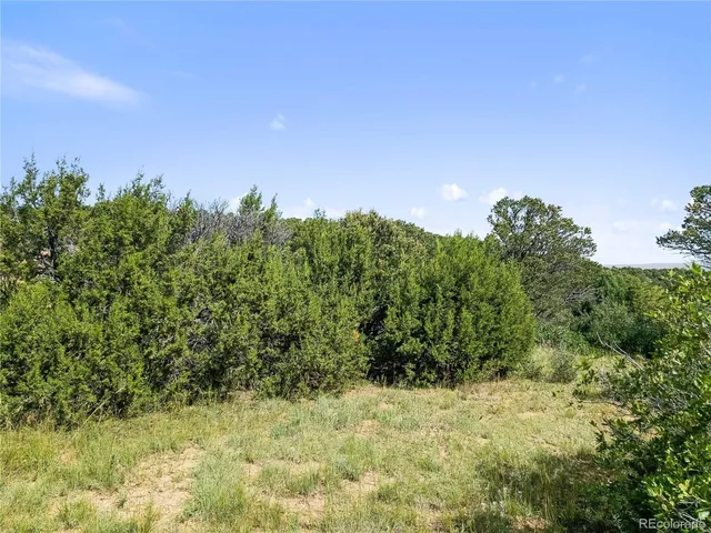 $175,000 | Tollerburg Road, Trinidad, CO 81082